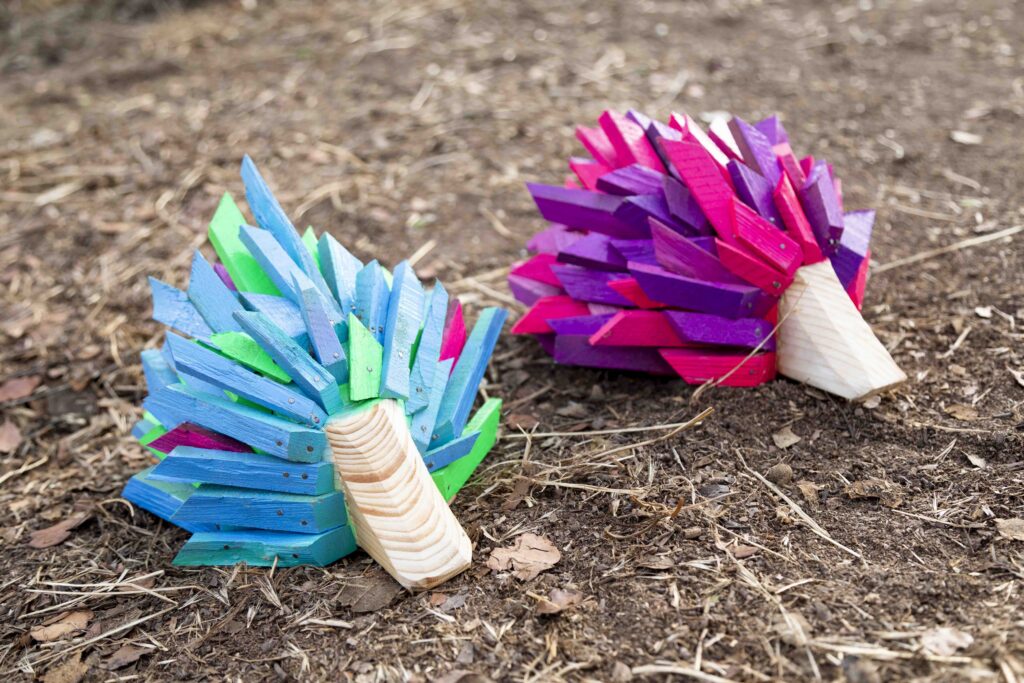 the hedgehogs